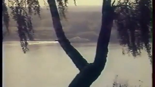 посмотри как всё красиво смотреть онлайн