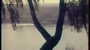 посмотри как всё красиво