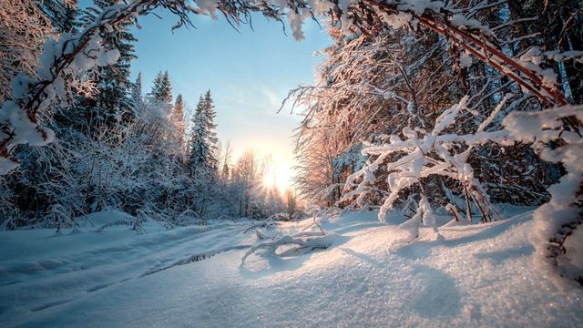 Собака больше суток согревала малыша, которого горе мамаша выбросила на 40 градусный мороз… смотреть онлайн
