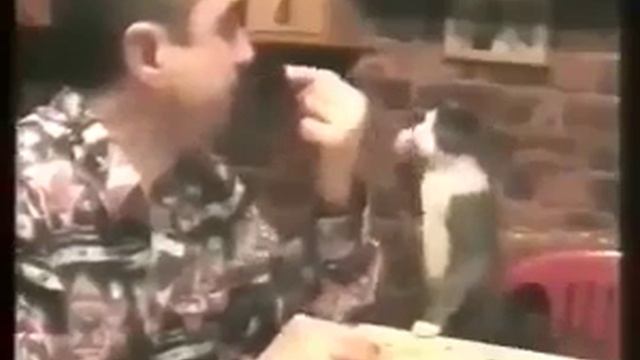  смотреть онлайн