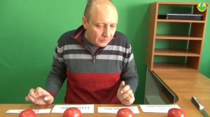 ДЕГУСТАЦИЯ РОЗОВЫХ ТОМАТОВ ОТ SAKATA - ПИНК ПАРАДАЙЗ, ПИНК ПАРАЛЛЕЛЬ, ПИНК ФОРВАРД, 02914 F1, 165 F