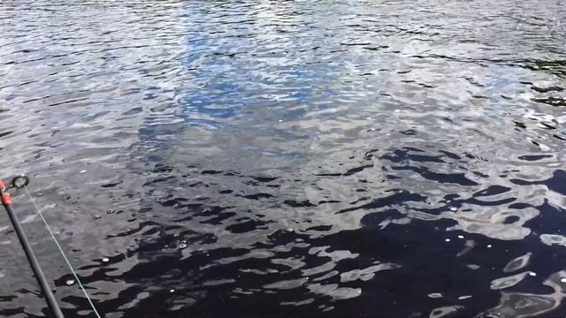 Рыбалка - случай №3, часть 2. Нюхча, река и порог Падун, Гавручей, Белое море смотреть онлайн