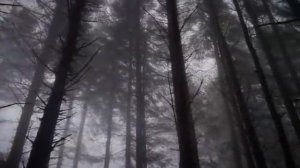 УЖАСЫ 2011 года /Убийственная поездка /Roadkill 2011г ,ужасы,DVDRip