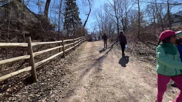 Престижный и тихий район Торонто | Канада смотреть онлайн