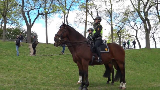 Норвегия, достопримечательности Осло, интересные, красивые места, путешествие 1-2 дня. Rukzak смотреть онлайн