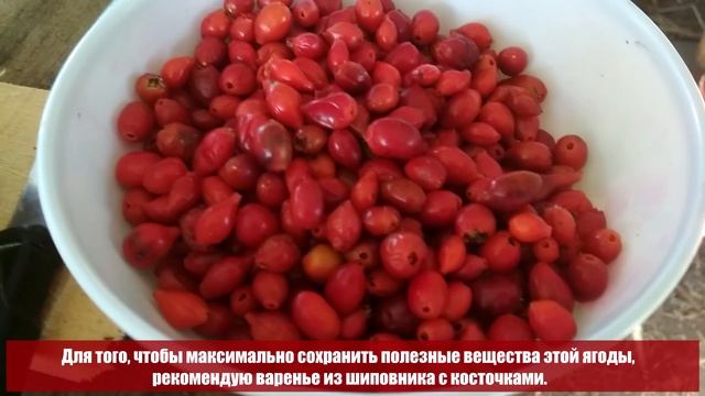 Учебник Ремонта