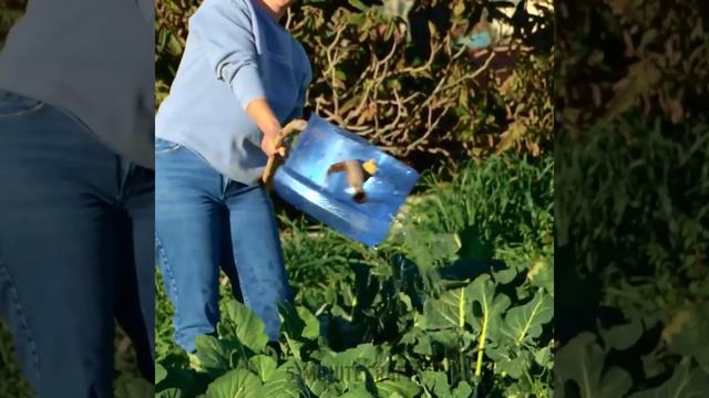 ПРОСТЫЕ И НЕДОРОГИЕ DIY САМОДЕЛКИ ДЛЯ ДОМА И САДА