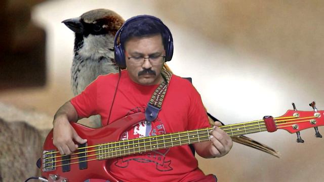 Bass cover for "Chittukuruvi mutham koduthu" | Movie : Puthiya paravai | Music : M.S.Viswanathan смотреть онлайн
