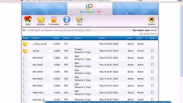Файловый менеджер DirectAdmin