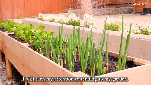 6 AM Morning Routine | Healthy Morning Habits To Begin The Day смотреть онлайн