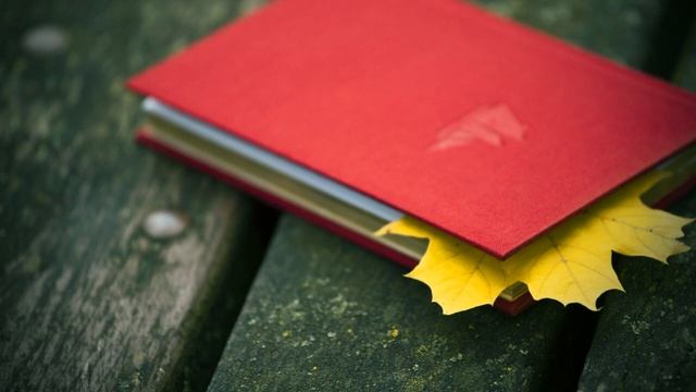 Красная книга смотреть онлайн