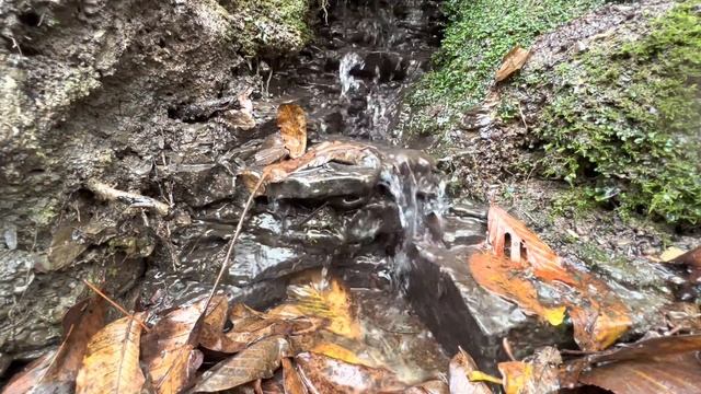 Успокоение и Релаксация.Белый Шум Родниковой Воды #белыйшум #релакс #успокаивающаямузыка смотреть онлайн