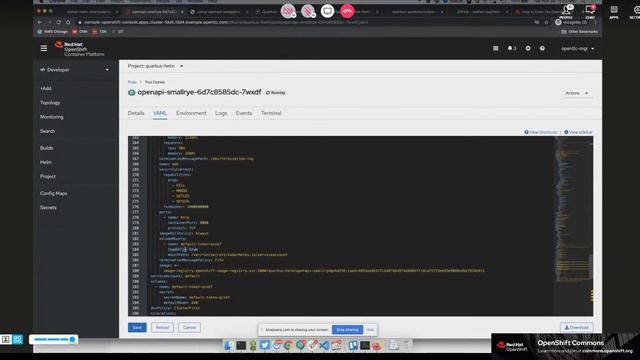 Deploying a Quarkus based application in OpenShift using Helm смотреть онлайн