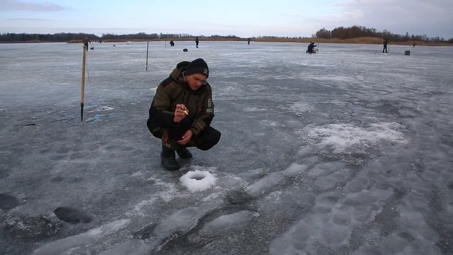 Ловля на Фидер