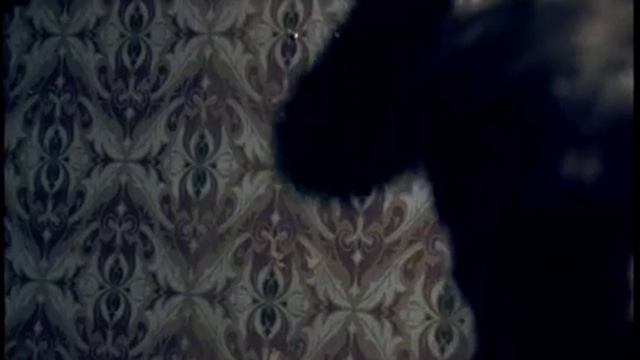 FPG  - Ночь   (КИНО Cover )