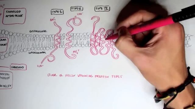 Membrane Proteins I смотреть онлайн