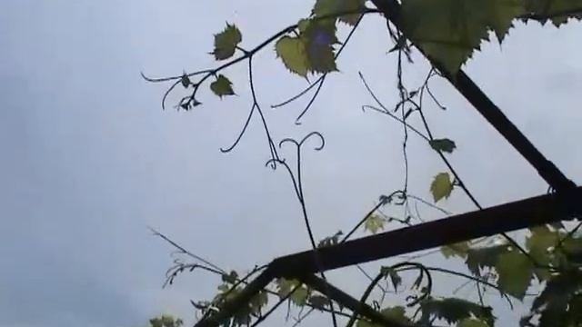 Рука дружбы смотреть онлайн