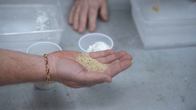 The Best Ice Melt For Driveways | Ask This Old House