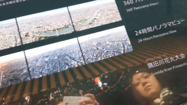 Tokyo Sky Tree: the view смотреть онлайн