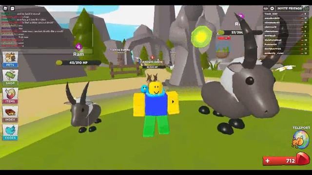 roblox pet hero codes смотреть онлайн