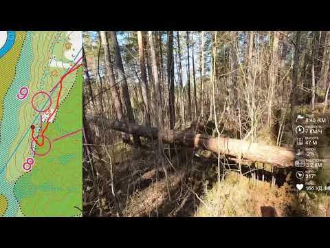 Спортивное ориентирование (headcam Orienteering) - Венок Славы А. Невского 2022, средняя - 17.04.22