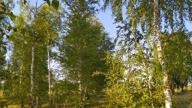 17 августа. АВДОТЬЯ ОГУРЕЧНИЦА. Сильная ЗАЩИТА от всех бед Заговор.Приметы смотреть онлайн