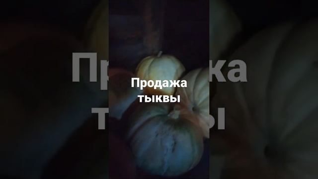 2021 урожай Тыквы "Сахарная королева" (оранжевая) и "Стопудовая" смотреть онлайн