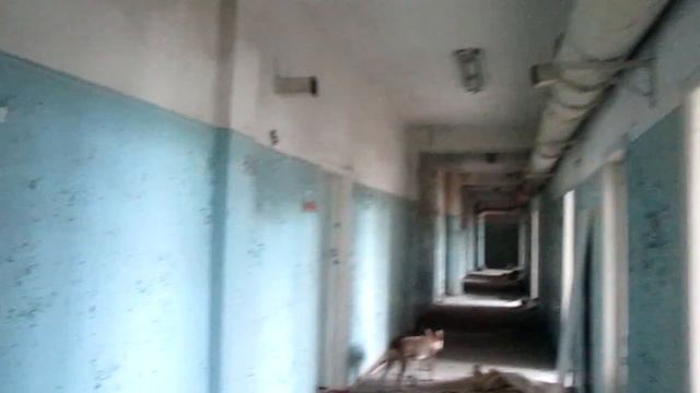 Хорошее прошлое и хреновое настоящее Часть 2 смотреть онлайн