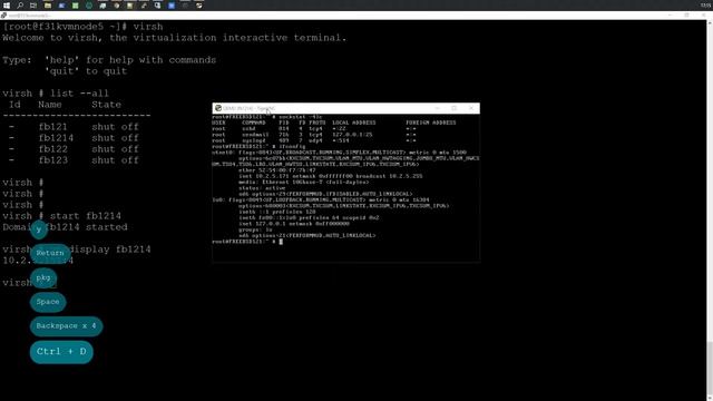 Установка FreeBSD 12.1 в KVM hypervisor смотреть онлайн