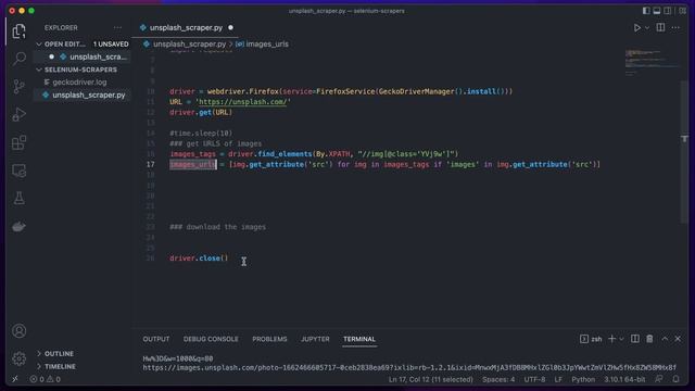 Images Scraper/ Downloader using Python & Selenium - Automation Projects смотреть онлайн