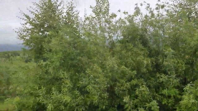 26 Июня в Истории 1945 Учреждено звание Генералиссимус Советского Союза Им стал Сталин смотреть онлайн