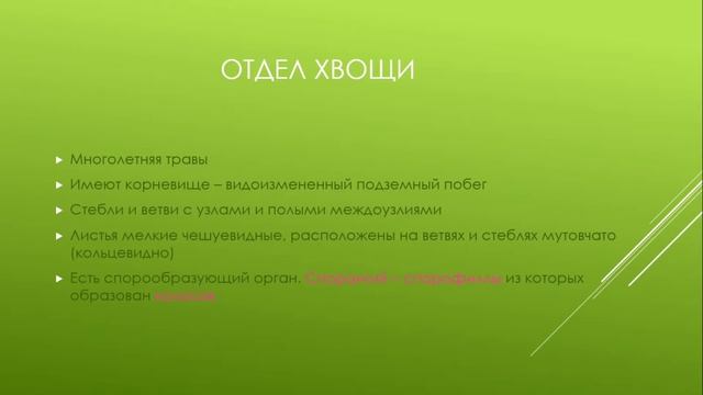 Споровые растения смотреть онлайн