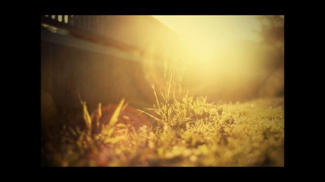 Cove - Buckethead смотреть онлайн