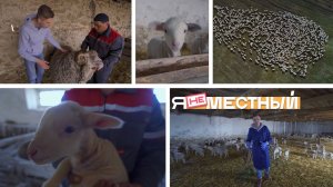 Я не местный. Село Большая Джалга: маленькие и большие бараны