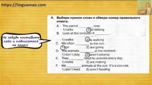 Spotlight 4 класс Сборник упражнений страница 64 номер 4 ГДЗ решебник