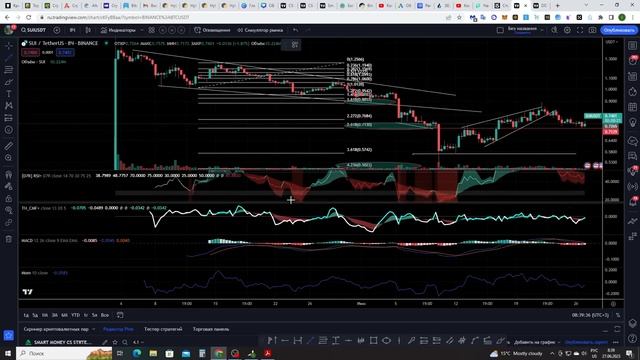 ПРОГНОЗ ЦЕНЫ БИТКОИНА, ШОРТ ПО DOT, МЫ ПРИШЛИ К ЦЕЛЯМ ПО ШОРТУ SUI? смотреть онлайн