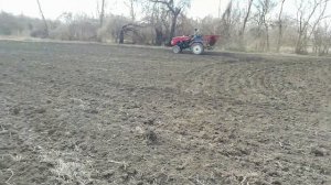 Когда  сеять клевер? Начало весенне полевых работ.