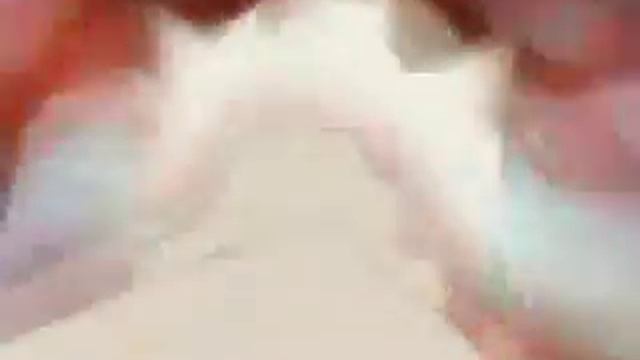 naruto alesha popovich [tfile ru] смотреть онлайн