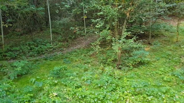 Смех перед Смертью смотреть онлайн