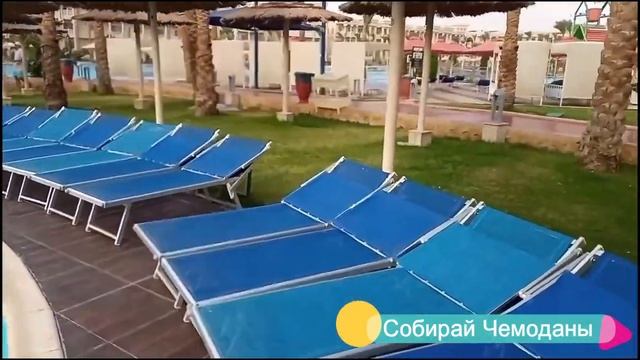 Отзыв об отеле Pickalbatros The Palace Port Ghalib 5* (Египет, Марса-Алам)