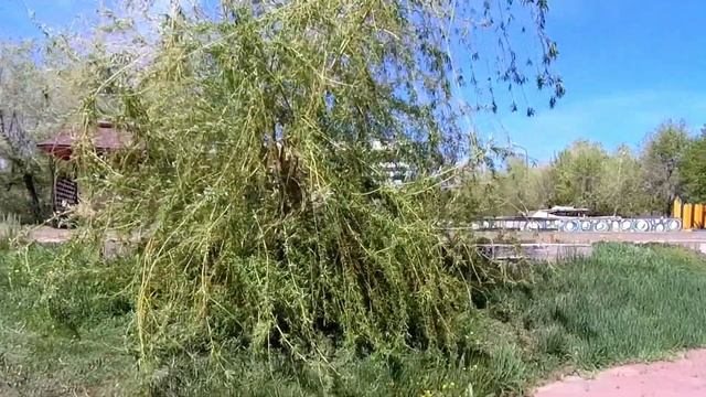 Уральск. Прогулка по набережной реки Урал. смотреть онлайн