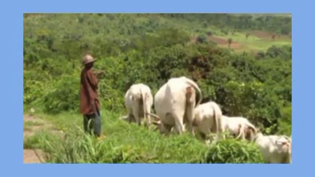 NOT AGAIN!! ANOTHER ÇRÏ$Ï$ ENVELOPES COMMUNITY!! A FÏGHT BETWEEN H£RD€R$ AND FARMERS!! Ç WHY смотреть онлайн