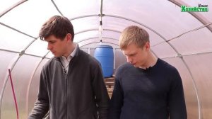 Почему не завязывается редис?..