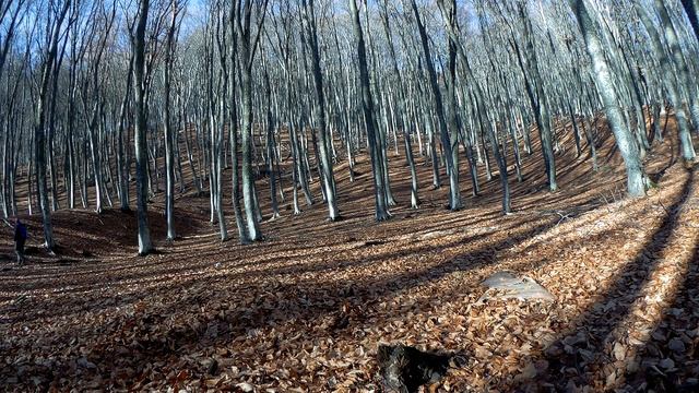 Road to Chatyr-Dag/ дорога на Чатыр-Даг #горы #крыма и #алушта смотреть онлайн