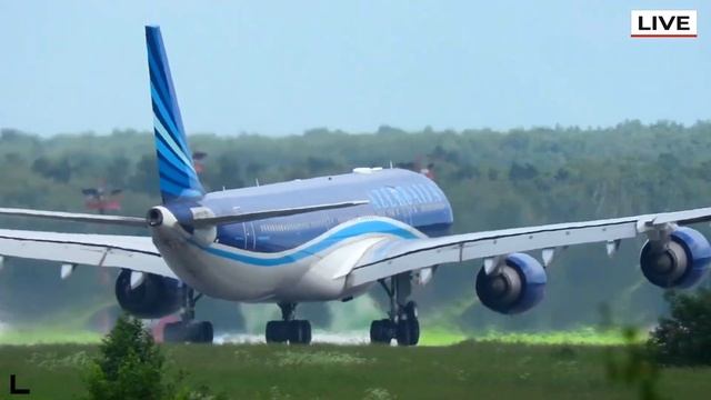 Ура! ВНЖ в Испании больше не отбирают! Акулы на Коста Бланке и другие новости в Испании смотреть онлайн