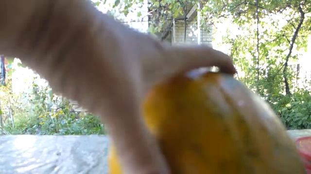 Дыня с зеленой мякотью, очень вкусная, сладкая и ароматная!. смотреть онлайн