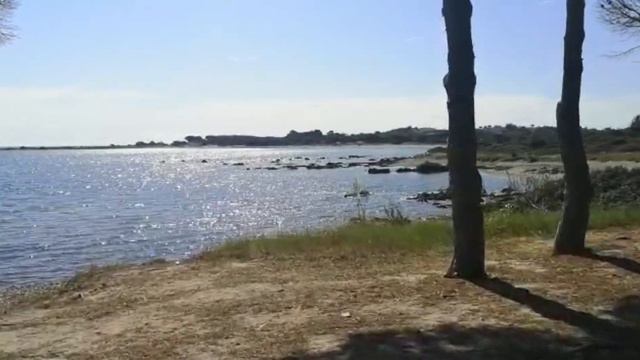 Passeggiata in Pineta Porto Ainu, Budoni смотреть онлайн