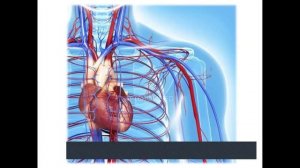 Что у нас внутри?