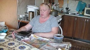 Посадка однолетней хризантемы на рассаду