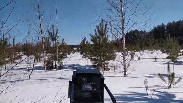 Покатушки на мотособаке по насту. смотреть онлайн